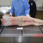 Dead woman in morgue