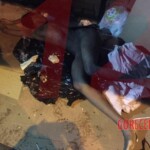 Lauren Morales Fernandez