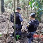 Alice de Lima Vieira