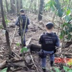 Alice de Lima Vieira