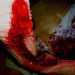 coldnessinmyheart