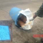 Liliana Aguilar Merino