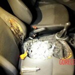 Isabel Cristine Lazzarin Gonçalves