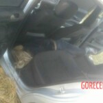 Isabel Cristine Lazzarin Gonçalves