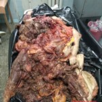 Crushed woman