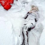 Woman frozen to death