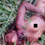 Kaylane Ferreira Frazão