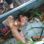 Female stabbed to death