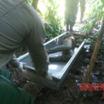 Female stabbed to death