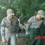 Female stabbed to death