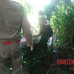 Female stabbed to death