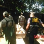 Female stabbed to death