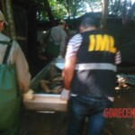 Female stabbed to death