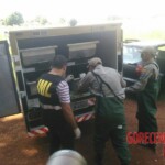 Female stabbed to death