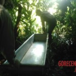 Female stabbed to death