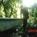 Female stabbed to death