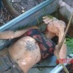 Female stabbed to death