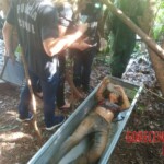 Female stabbed to death