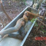 Female stabbed to death