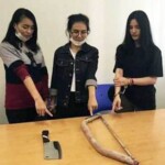 Preeyanuch Nonwangchai