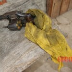 Robianne Kelle Silva Souza