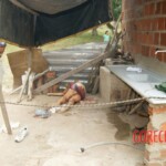 Robianne Kelle Silva Souza