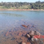 Stabbed woman in river