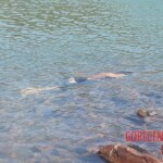 Stabbed woman in river