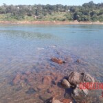 Stabbed woman in river