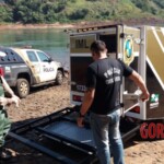 Stabbed woman in river