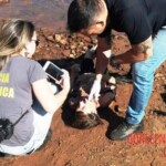 Stabbed woman in river