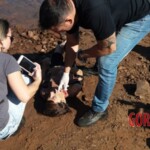 Stabbed woman in river