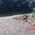 Stabbed woman in river