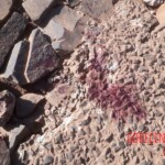 Stabbed woman in river