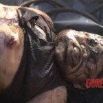 Rotten woman found in sewer