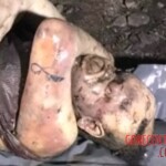 Rotten woman found in sewer