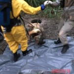 Rotten woman found in sewer