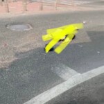 Dead chinese student