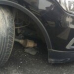 Dead chinese teenagers