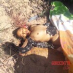 Jomara de Souza Gomes