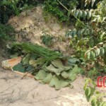 Jomara de Souza Gomes