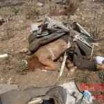 Flight 552 crash photo