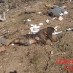 Flight 552 crash photo