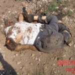 Flight 552 crash photo