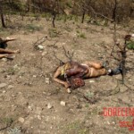 Flight 552 crash photo