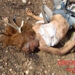 Flight 552 crash photo