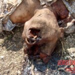 Flight 552 crash photo