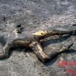 Flight 552 crash photo