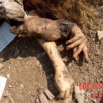 Flight 552 crash photo