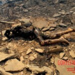 Flight 552 crash photo